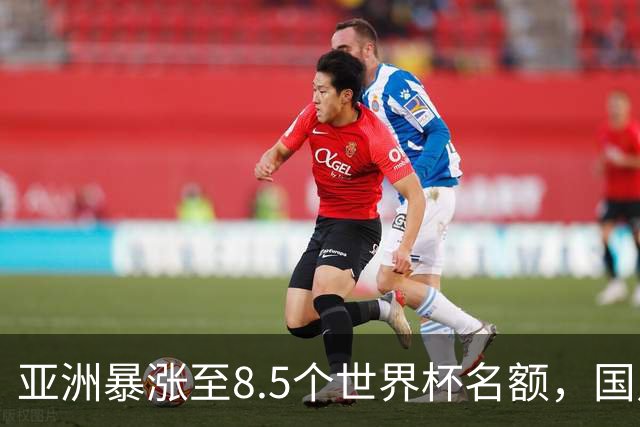亚洲暴涨至8.5个世界杯名额，国足依旧出局，残酷真相没人敢说