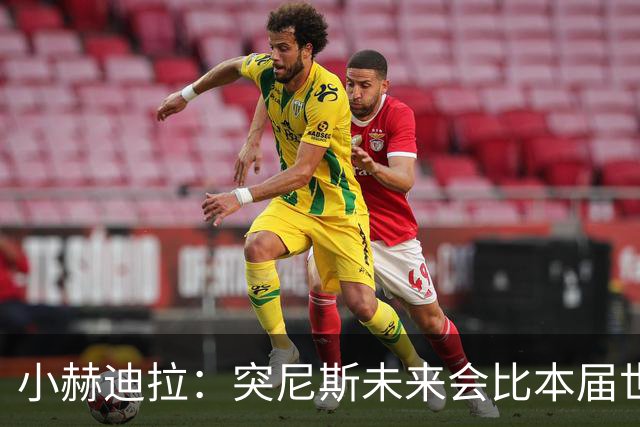 小赫迪拉：突尼斯未来会比本届世界杯更好 批评？我已经付出全力